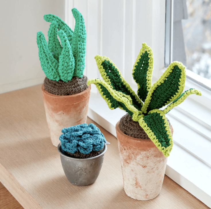 Creating Your Own Crochet Succulents